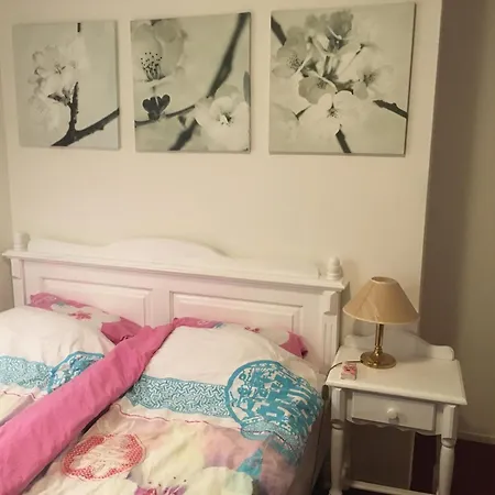 Wim's Place Schiphol Amsterdam Airport 2*